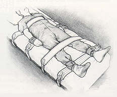 5 Point Restraint System