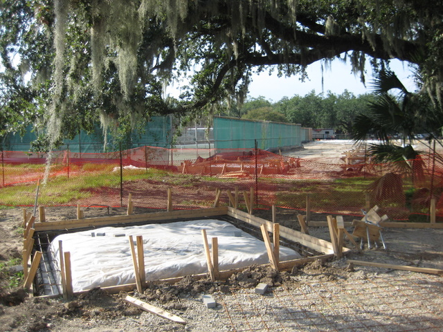 Update on concrete form as of Thursday, August 6. Probably going to be some kind of iconic Great Lawn fixture or sign. So this oak is going to end up looking like an amputee as it dies-off thanks to this unbelievably stupid implementation of the design.
