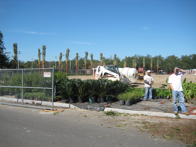 Non-native plants ready to plugged into the waiting holes of the hand laid brick and concrete holes in the nearly finished Great Lawn.