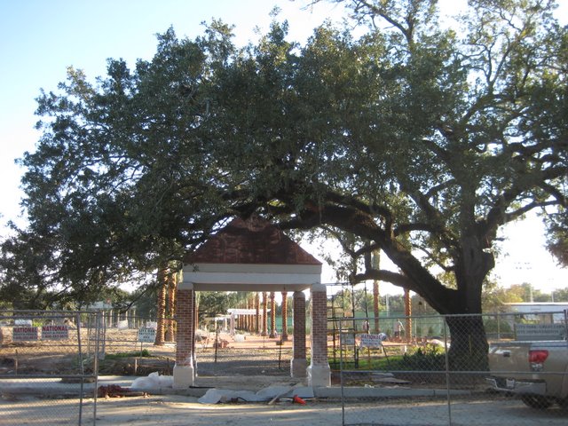 That copper roof will turn a nice shade of green. You  think the designers planned for that to match the tree?